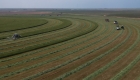 wide curved cutted grassfield