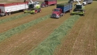 choppers and cargo trucks clearing chopped grasses